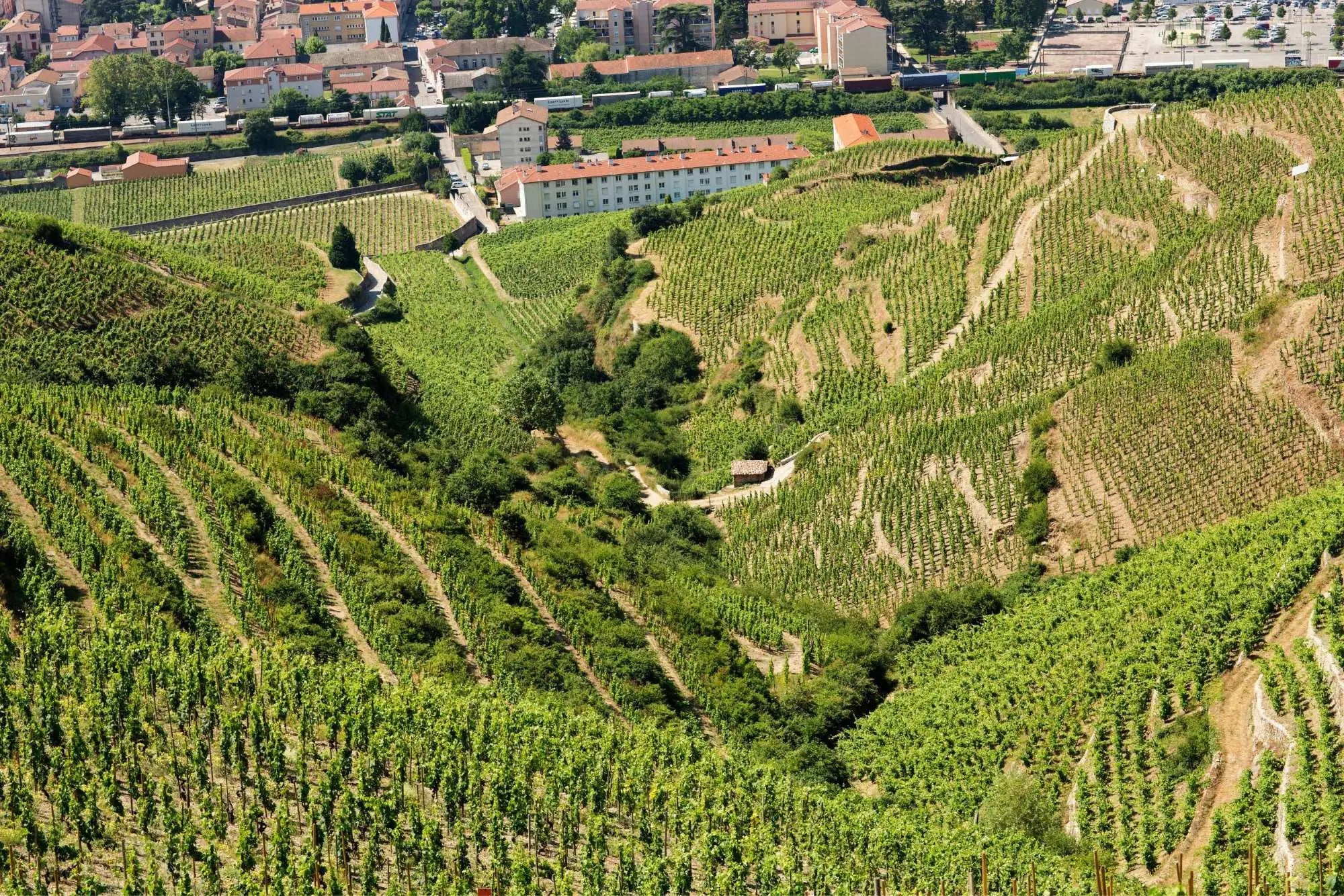 Domaine Guigal